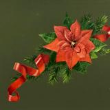 Red Beauty