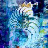 Secrets of a Nautilus-(SOLD)