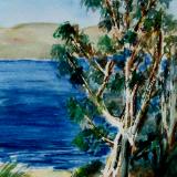 Watercolors
